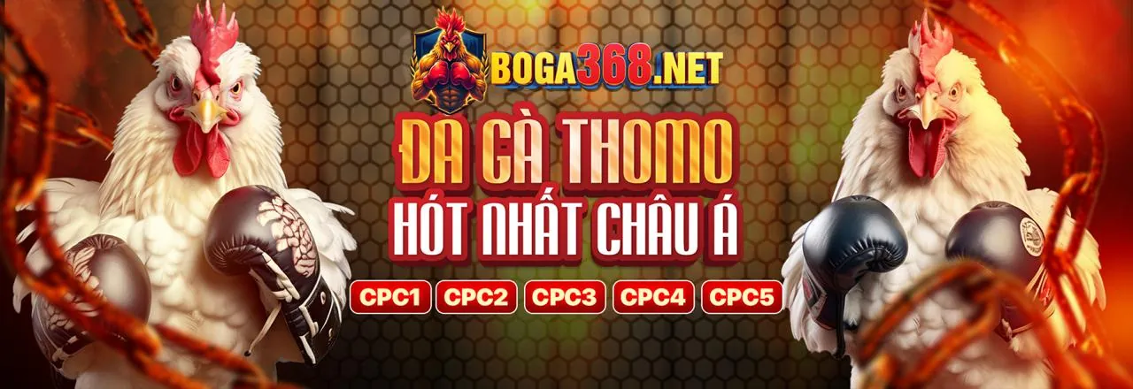 Tin tức mcw888 casino mới nhất