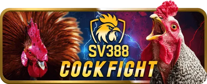 Cookie và công nghệ theo dõi của mcw888 casino